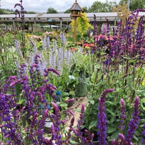 Endsleigh Garden Centre