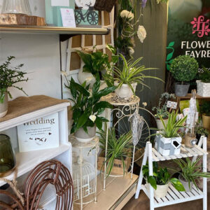Plant displays