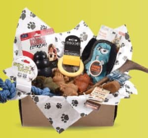 Pet supplies