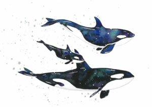 Orca pod watercolour painting