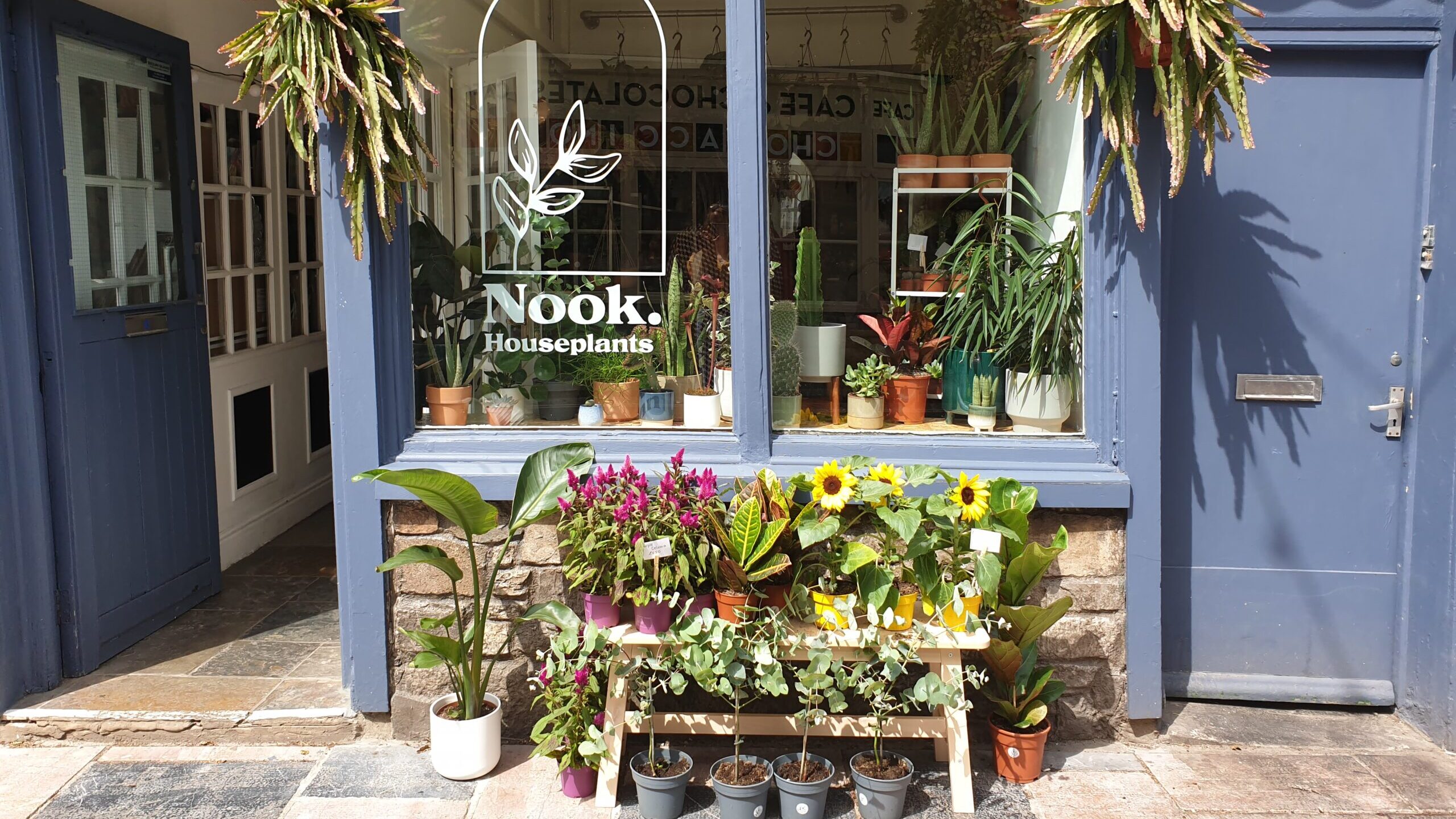 Add some summery jungle vibes with some leafy loveliness from Nook Houseplants